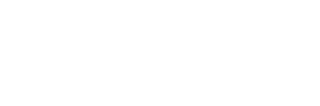 ROBIN HOLDINGS